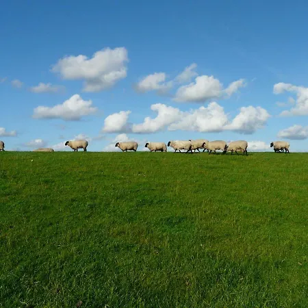 Apartment Nordsee Ost